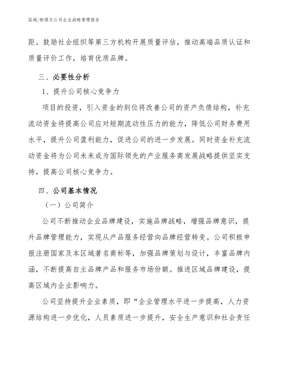 粉煤灰公司企业战略管理报告（参考）_第4页