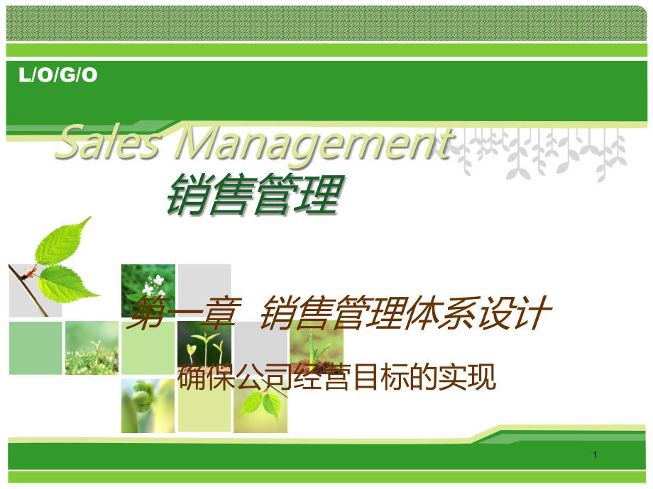 销售管理体系方案课件_第1页