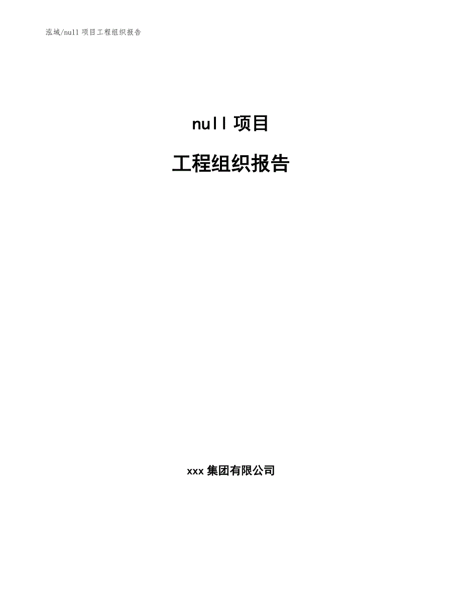 null项目工程组织报告_参考_第1页