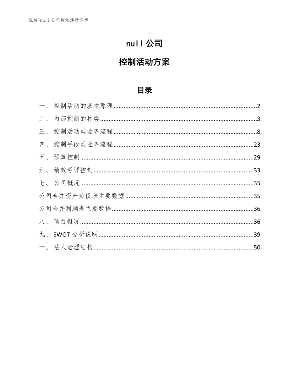 null公司控制活动方案【范文】_第1页