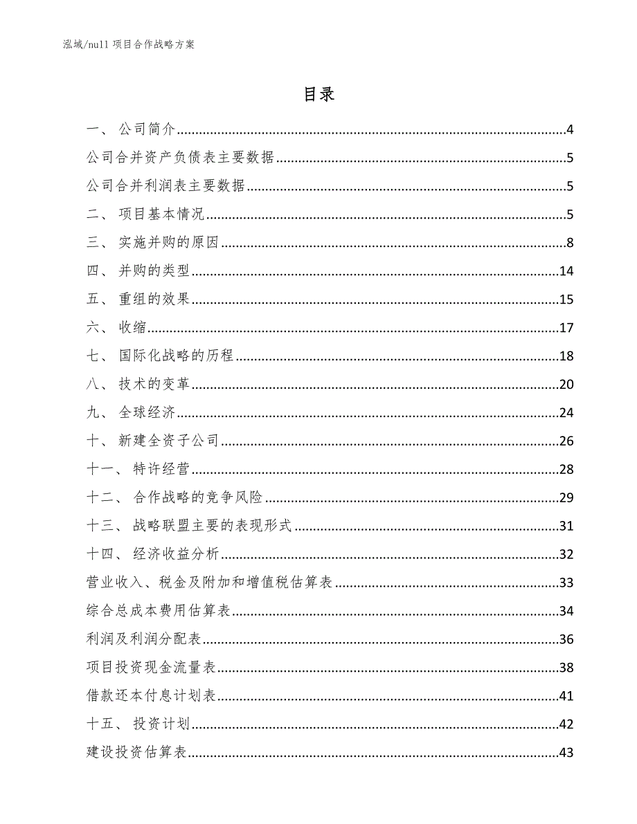 null项目合作战略方案（范文）_第2页