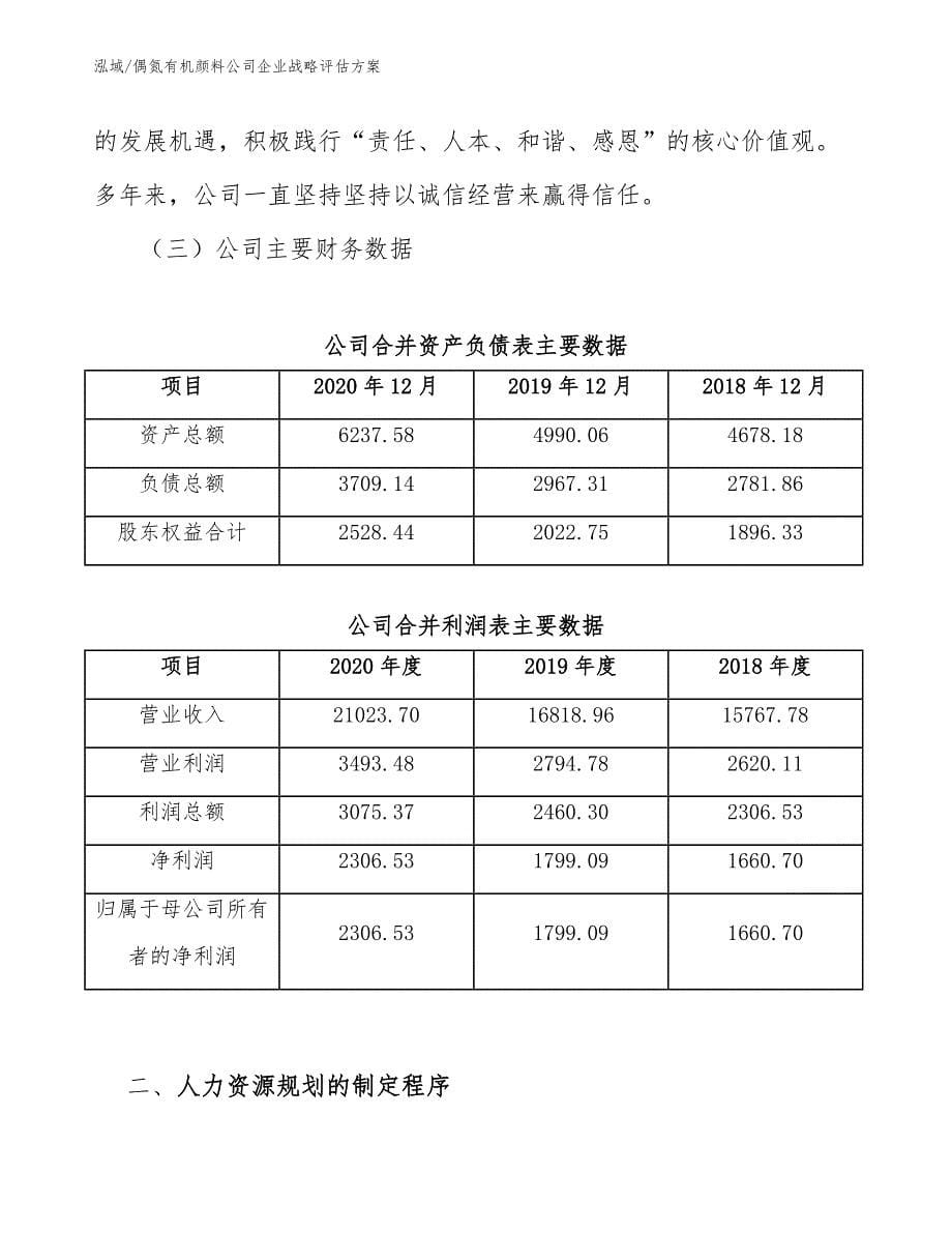 偶氮有机颜料公司企业战略评估方案【参考】_第5页