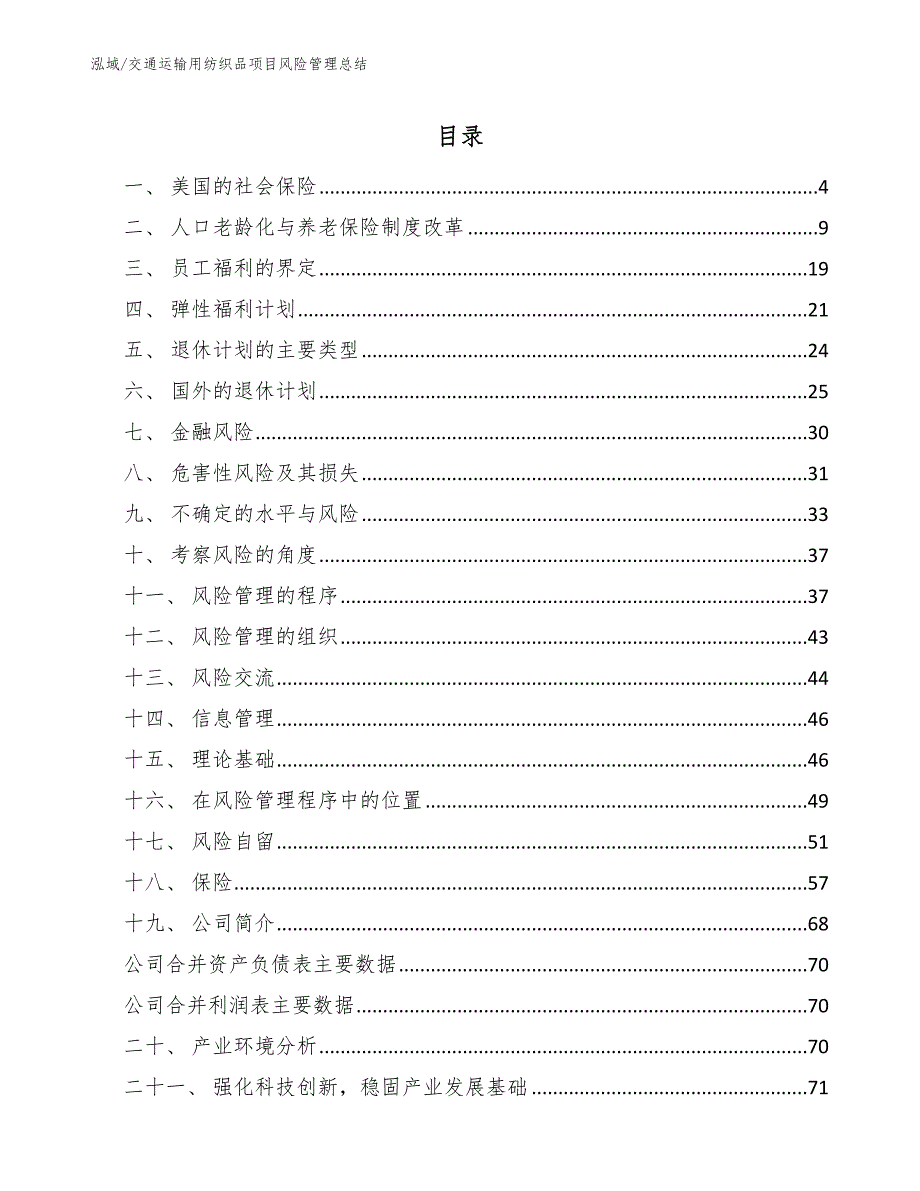 交通运输用纺织品项目风险管理总结【范文】_第2页