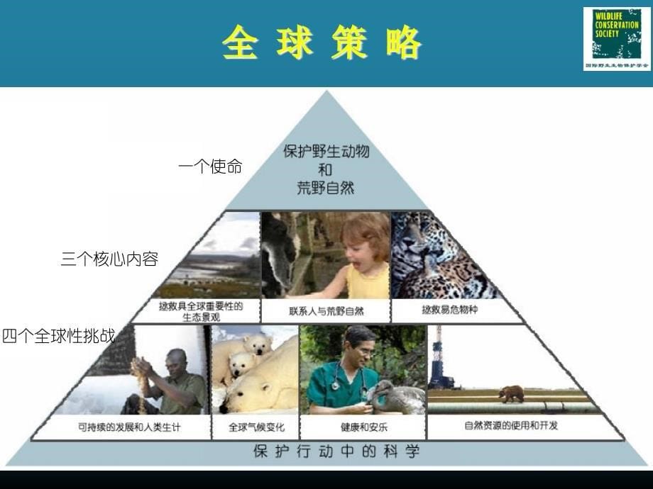 生物多样性保护导论课件02-机构和法规介绍_第5页