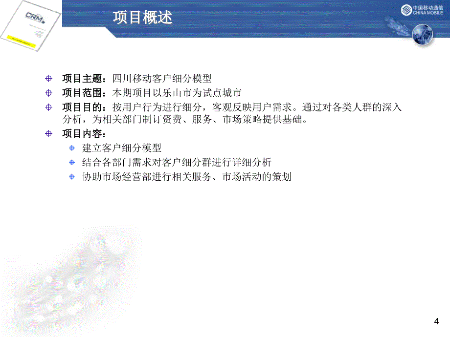 移动客户细分项目分析报告(powerpoint 84页)_第4页