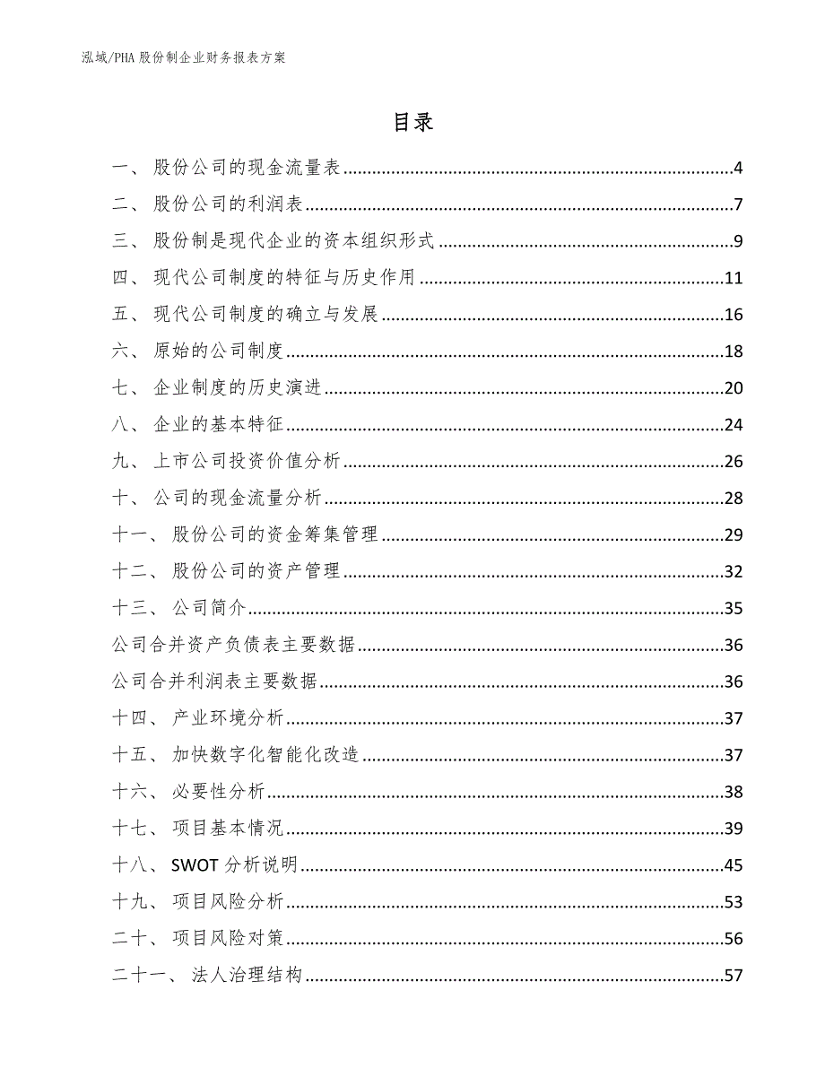 PHA股份制企业财务报表方案_第2页