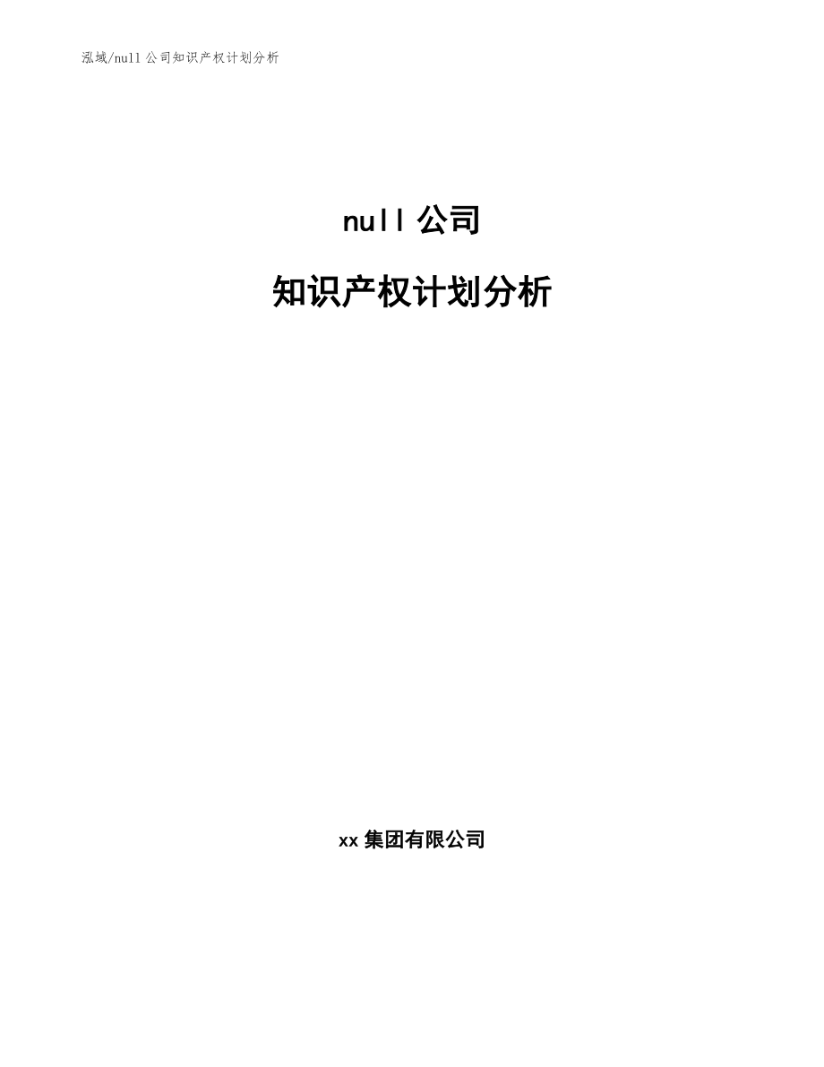 null公司知识产权计划分析【范文】_第1页