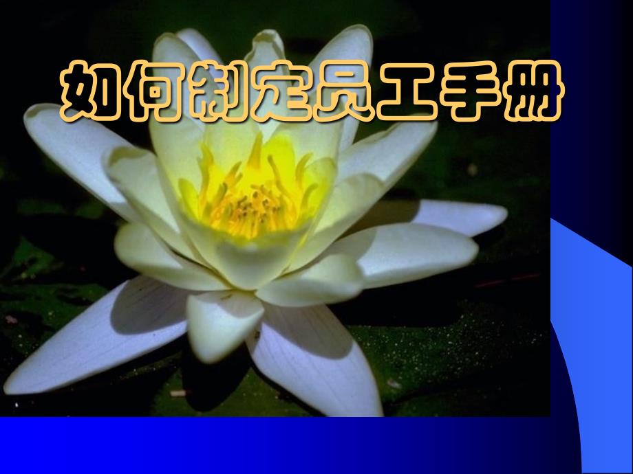 烟草企业员工手册基本内容(powerpoint 95页)_第1页