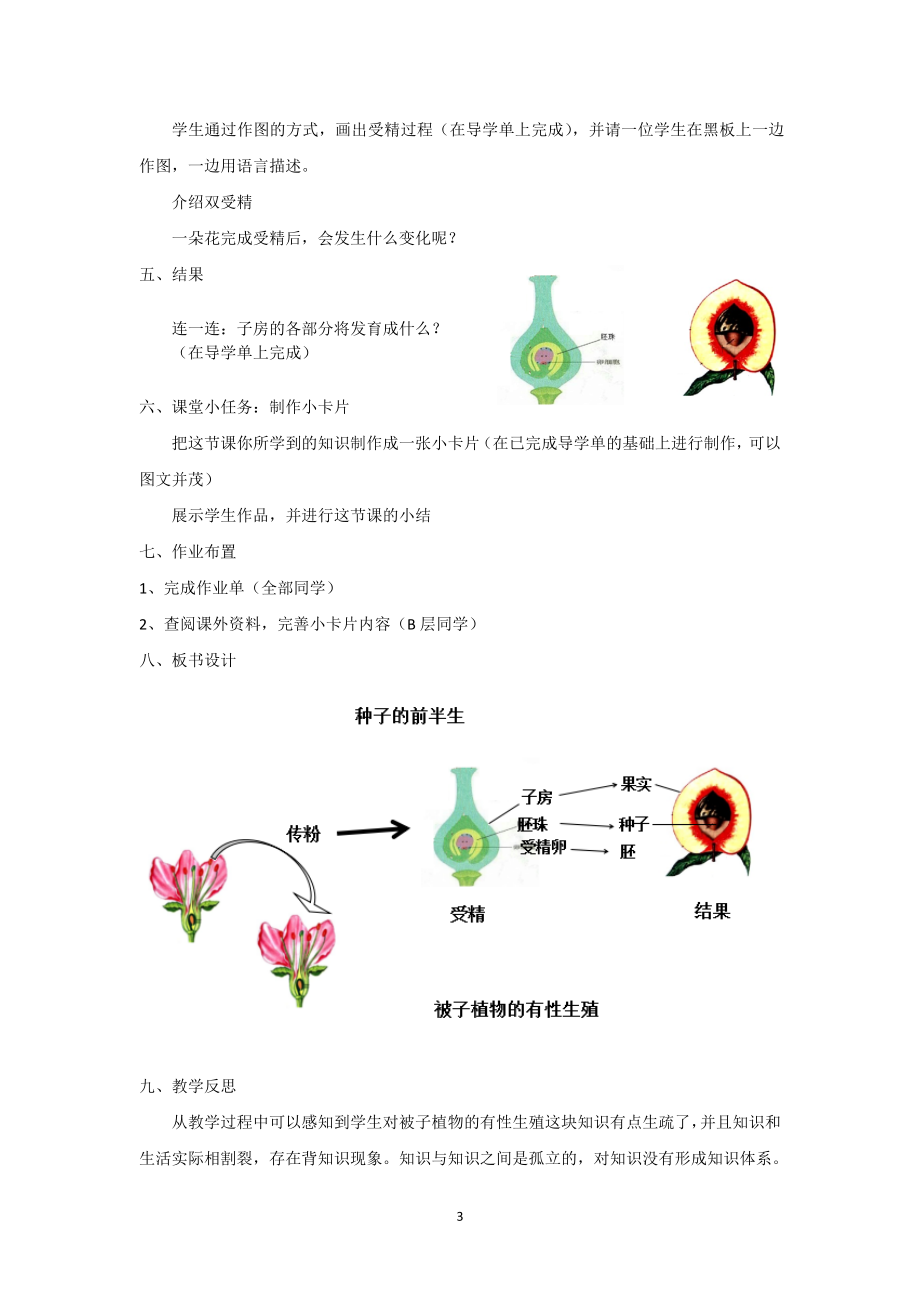 浙教版七下科学1.5.1种子的前半生——被子植物的有性生殖 教学设计_第3页