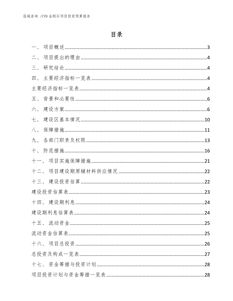 CVD金刚石项目投资预算报告-参考模板_第1页