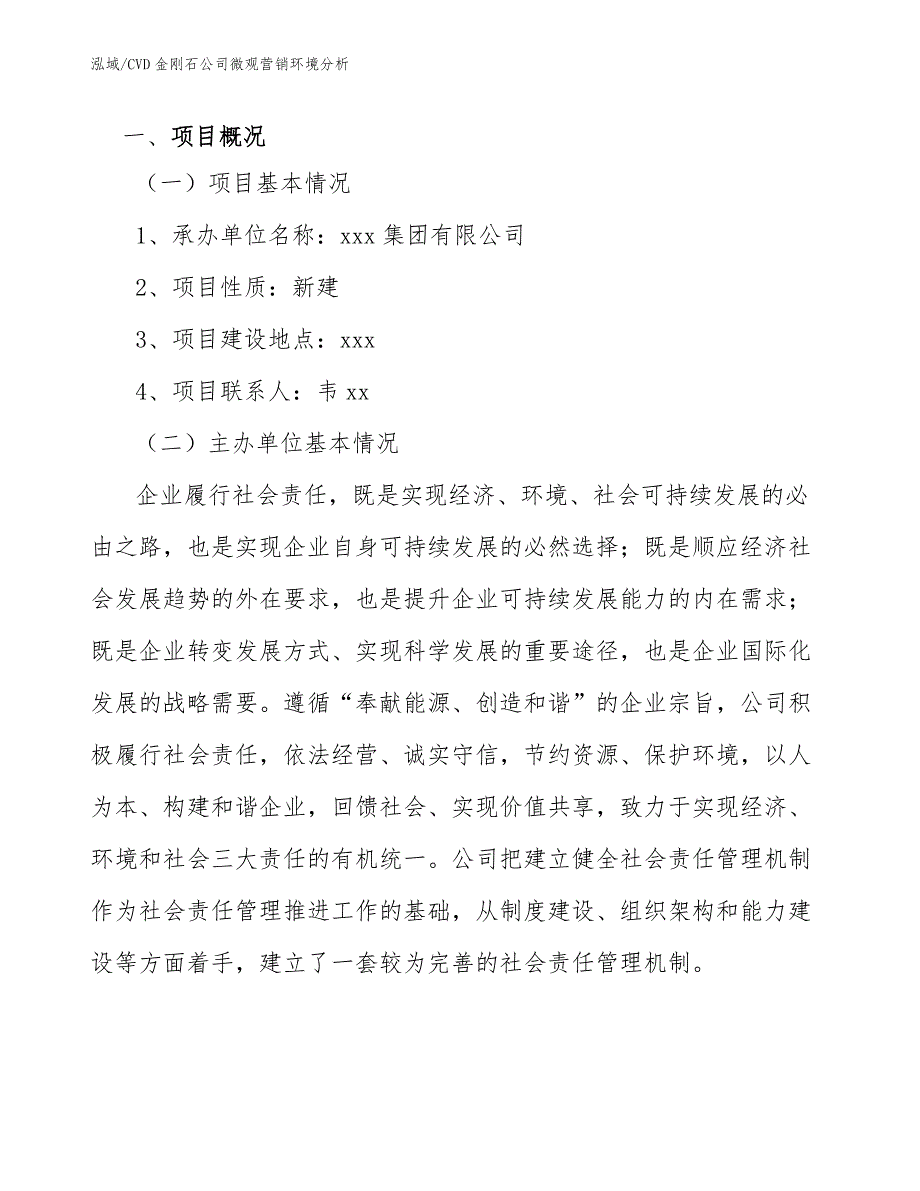 CVD金刚石公司微观营销环境分析_第2页