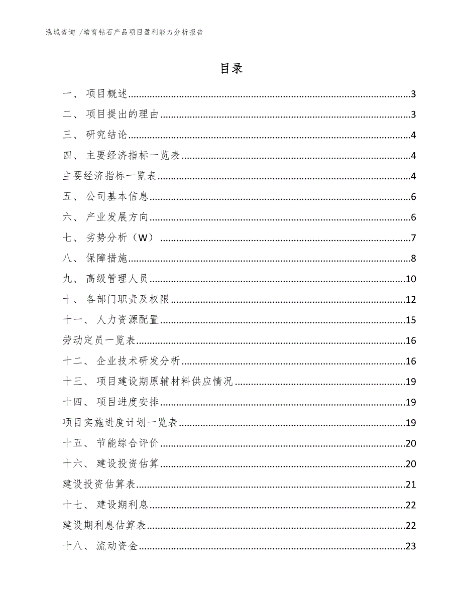 培育钻石产品项目盈利能力分析报告_第1页