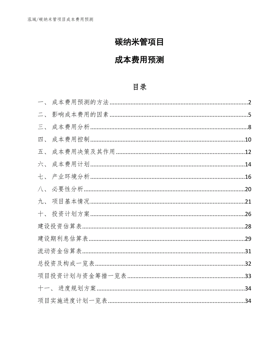 碳纳米管项目成本费用预测_第1页