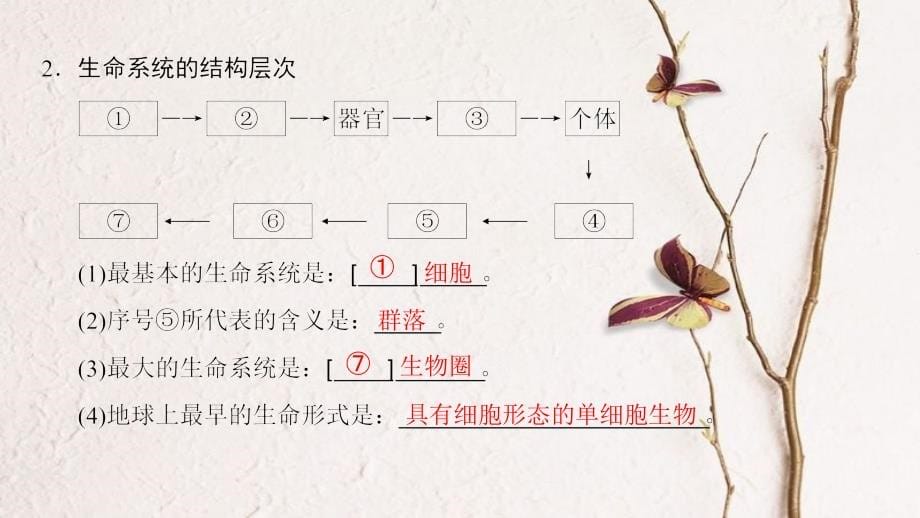 （全国版）高考生物一轮复习 第1单元 细胞及其分子组成 第1讲 走近细胞课件_第5页