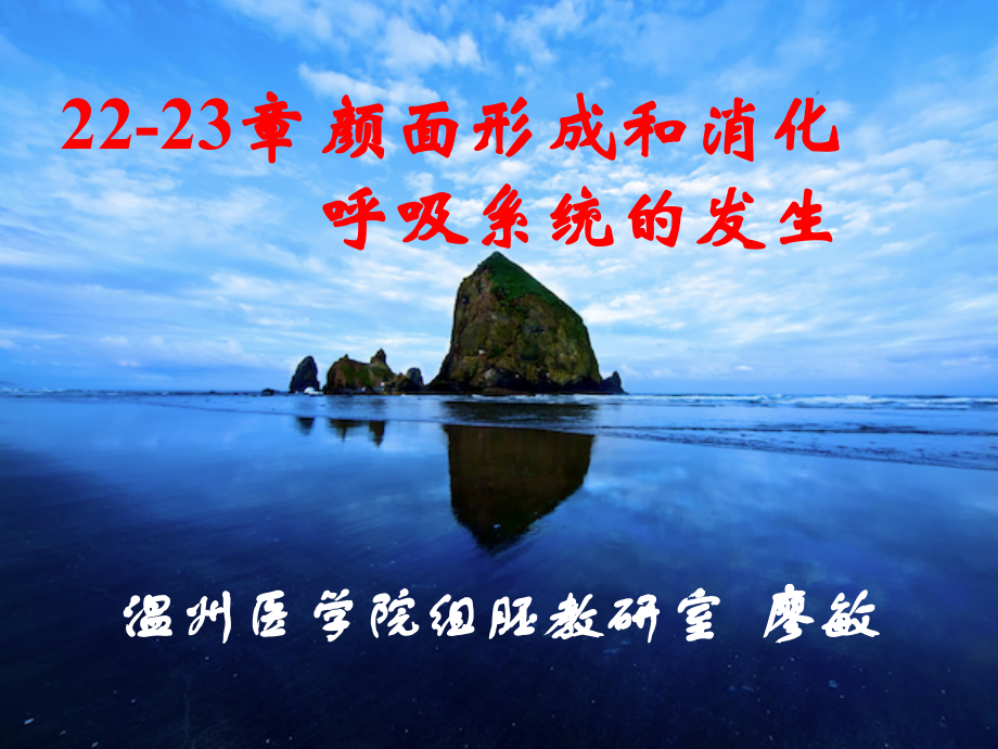 组织学与胚胎学课件第22-23章 颜面形成和消化呼吸系统的发生_第1页