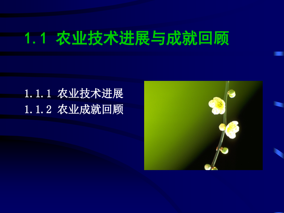 高效生态农业的理论与实践课件_第4页