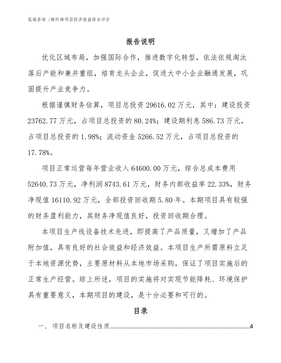 碳纤维项目经济效益综合评价_第1页