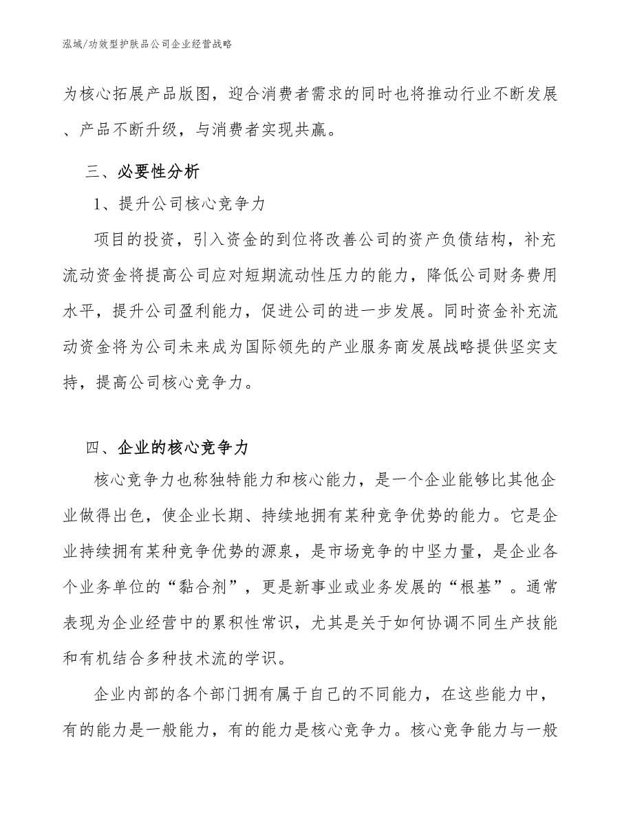 功效型护肤品公司企业经营战略_第5页