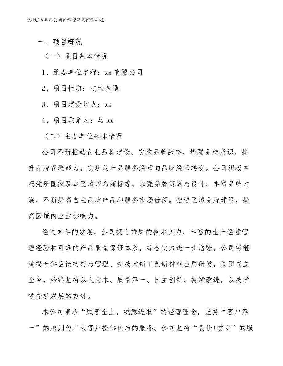 力车胎公司内部控制的内部环境_第3页