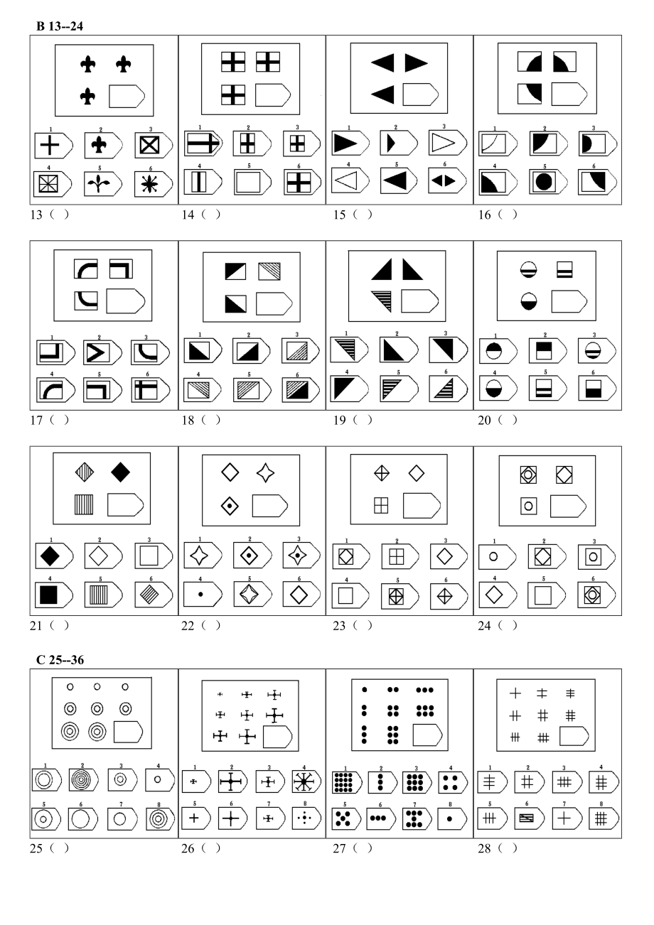 SPM(瑞文标准)测试题_第2页