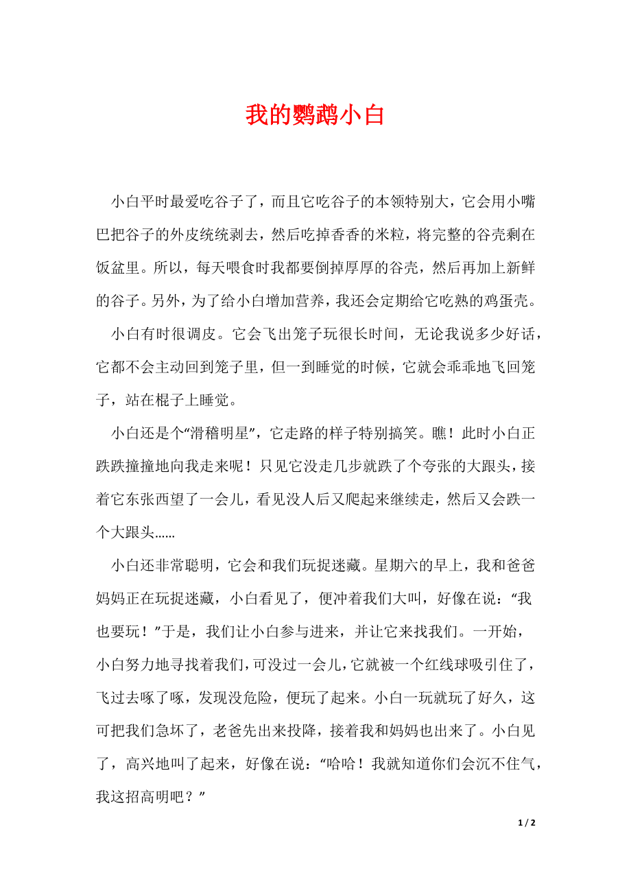 20XX最新我的鹦鹉小白_第1页
