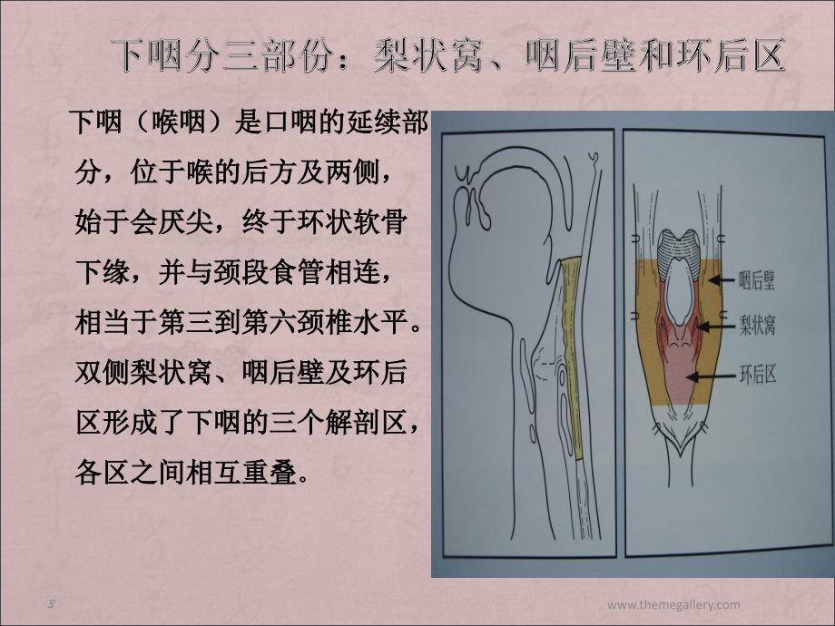 下咽癌术后护理查房(1)课件_第3页