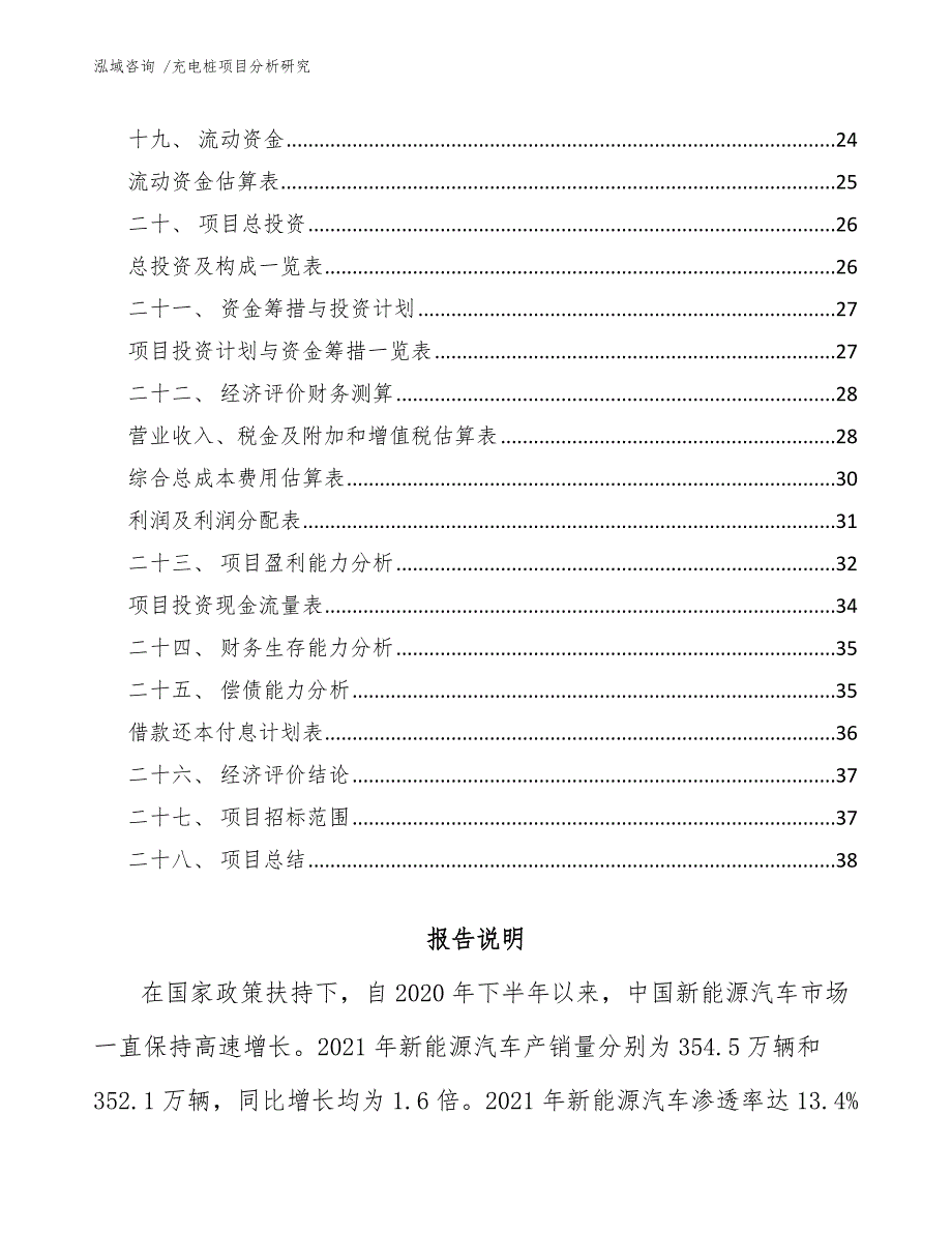 充电桩项目分析研究_第2页