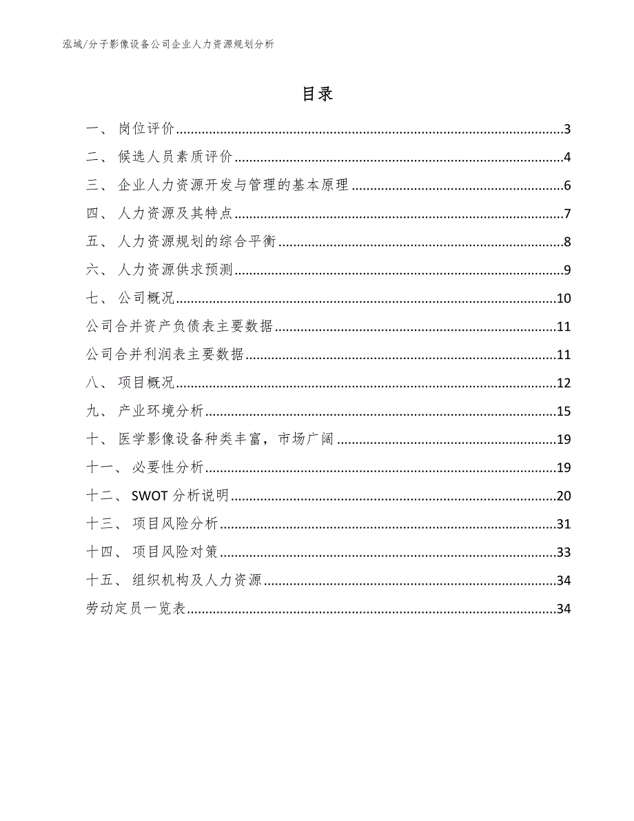 分子影像设备公司企业人力资源规划分析（范文）_第2页