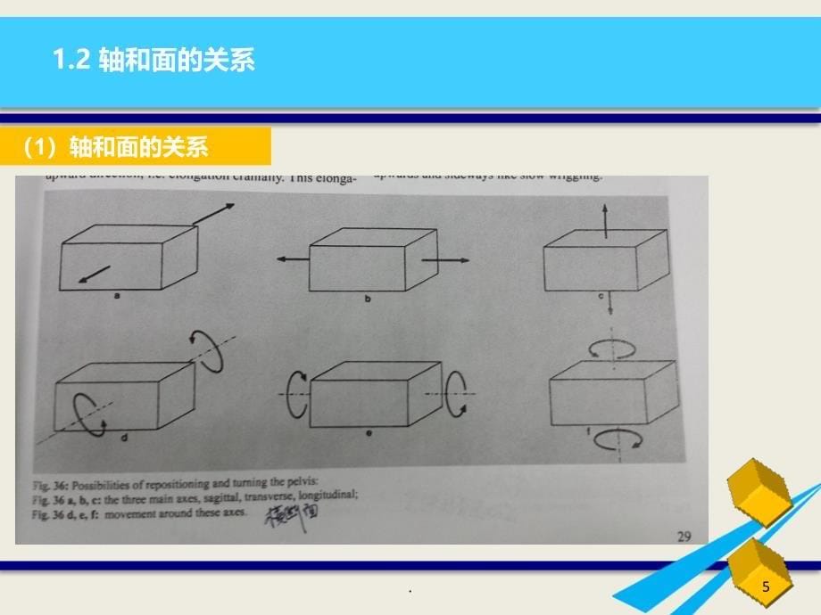 施罗斯理论基础介绍课件_第5页