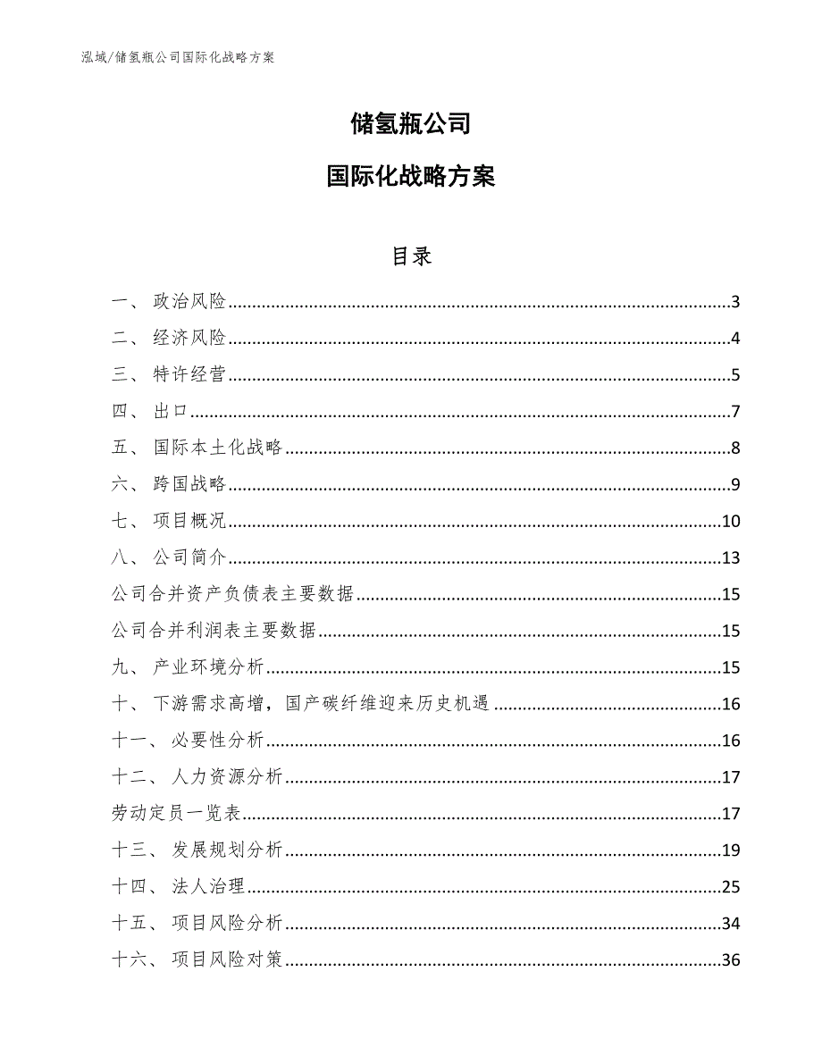 储氢瓶公司国际化战略方案（参考）_第1页