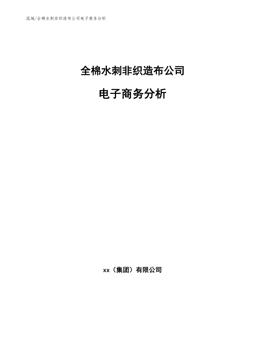 全棉水刺非织造布公司电子商务分析【范文】_第1页