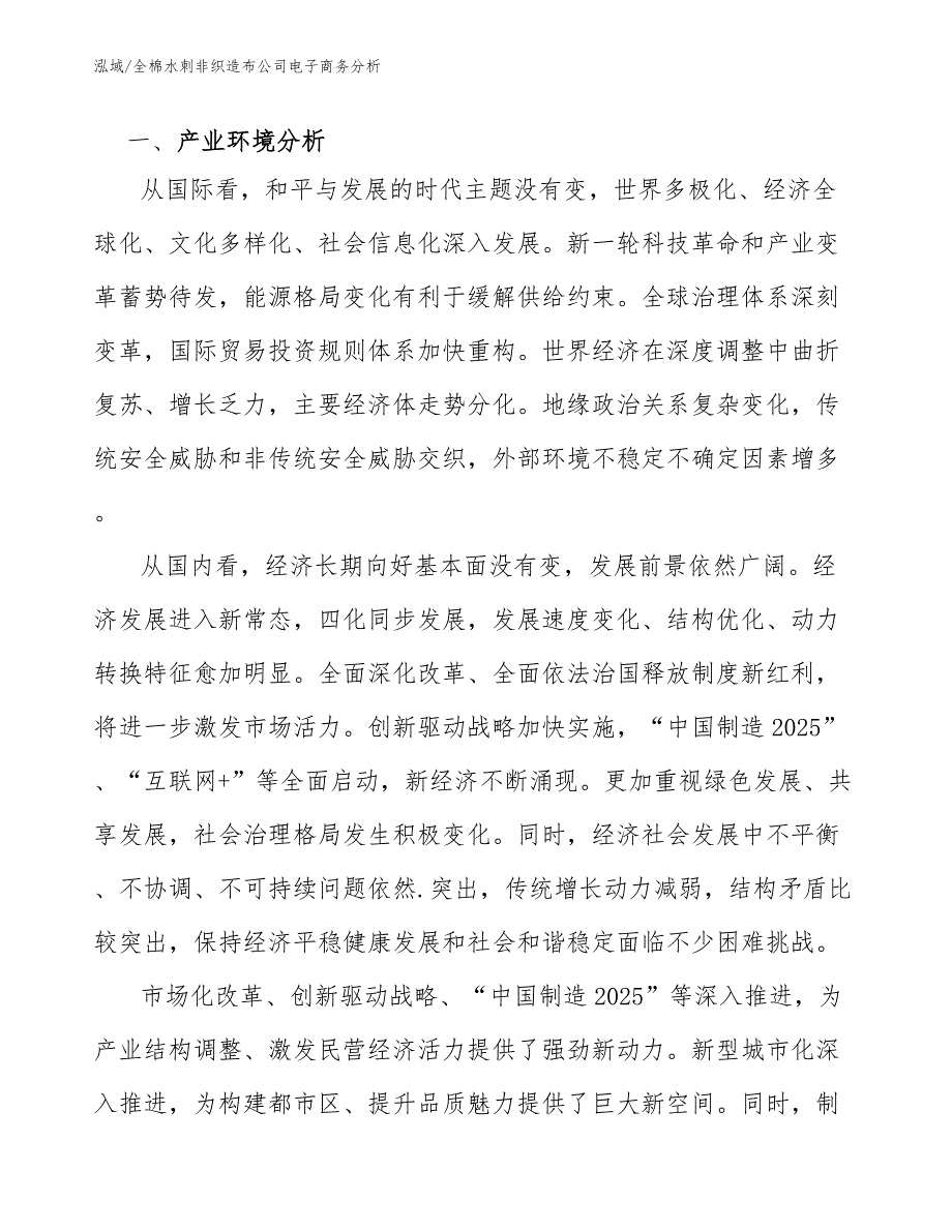 全棉水刺非织造布公司电子商务分析【范文】_第3页