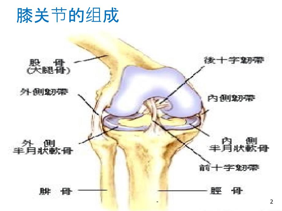 膝关节置换术的手术配合课件_第2页