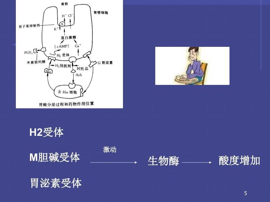 七篇消化系统药课件_第5页