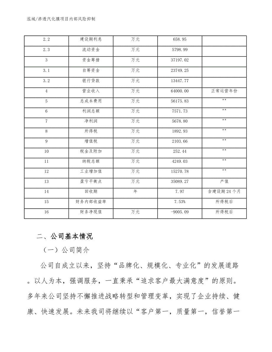 渗透汽化膜项目内部风险抑制（范文）_第5页