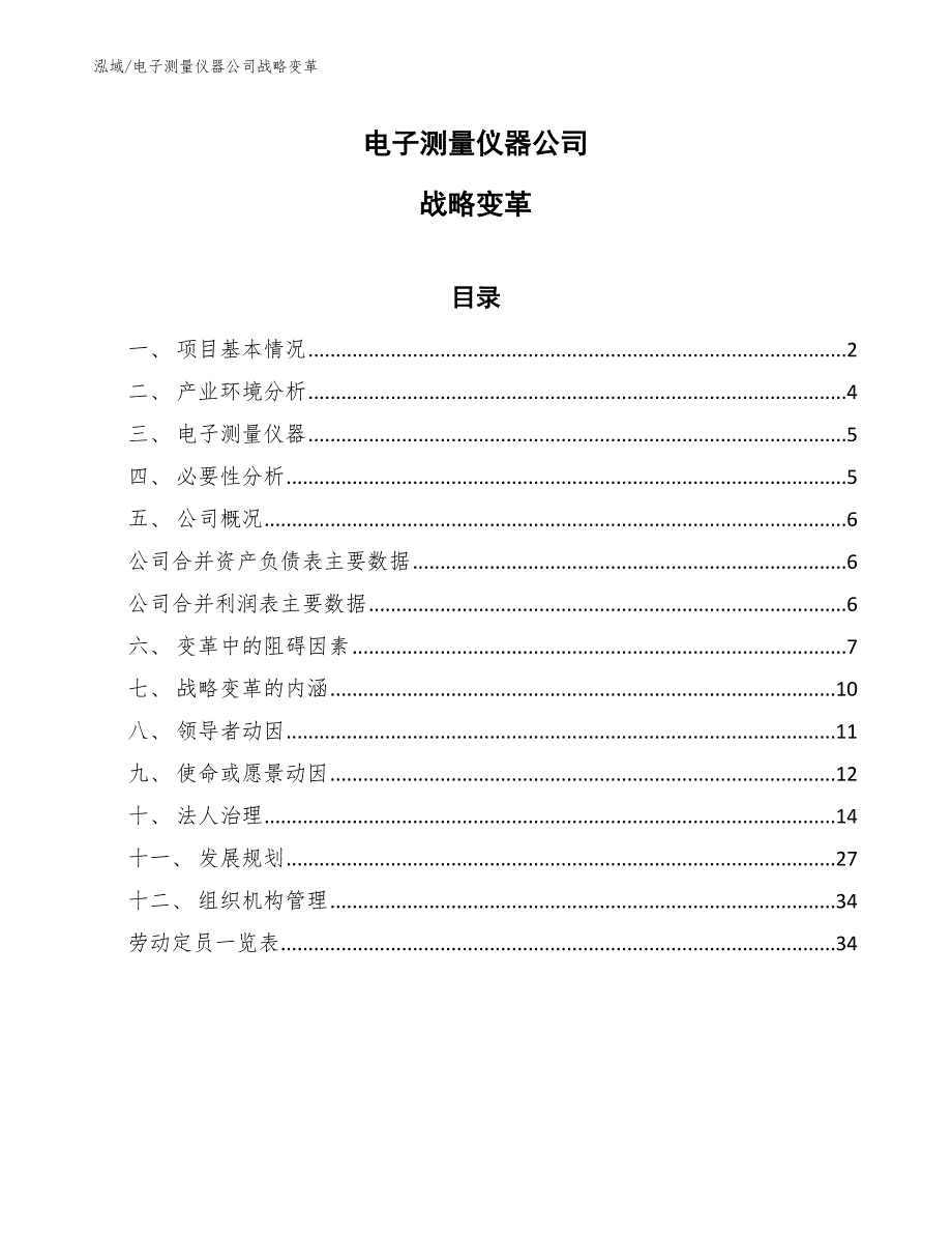 电子测量仪器公司战略变革【范文】_第1页