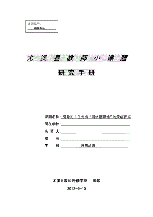 引导初中生走出“网络沼泽地”的策略研究课题开题报告