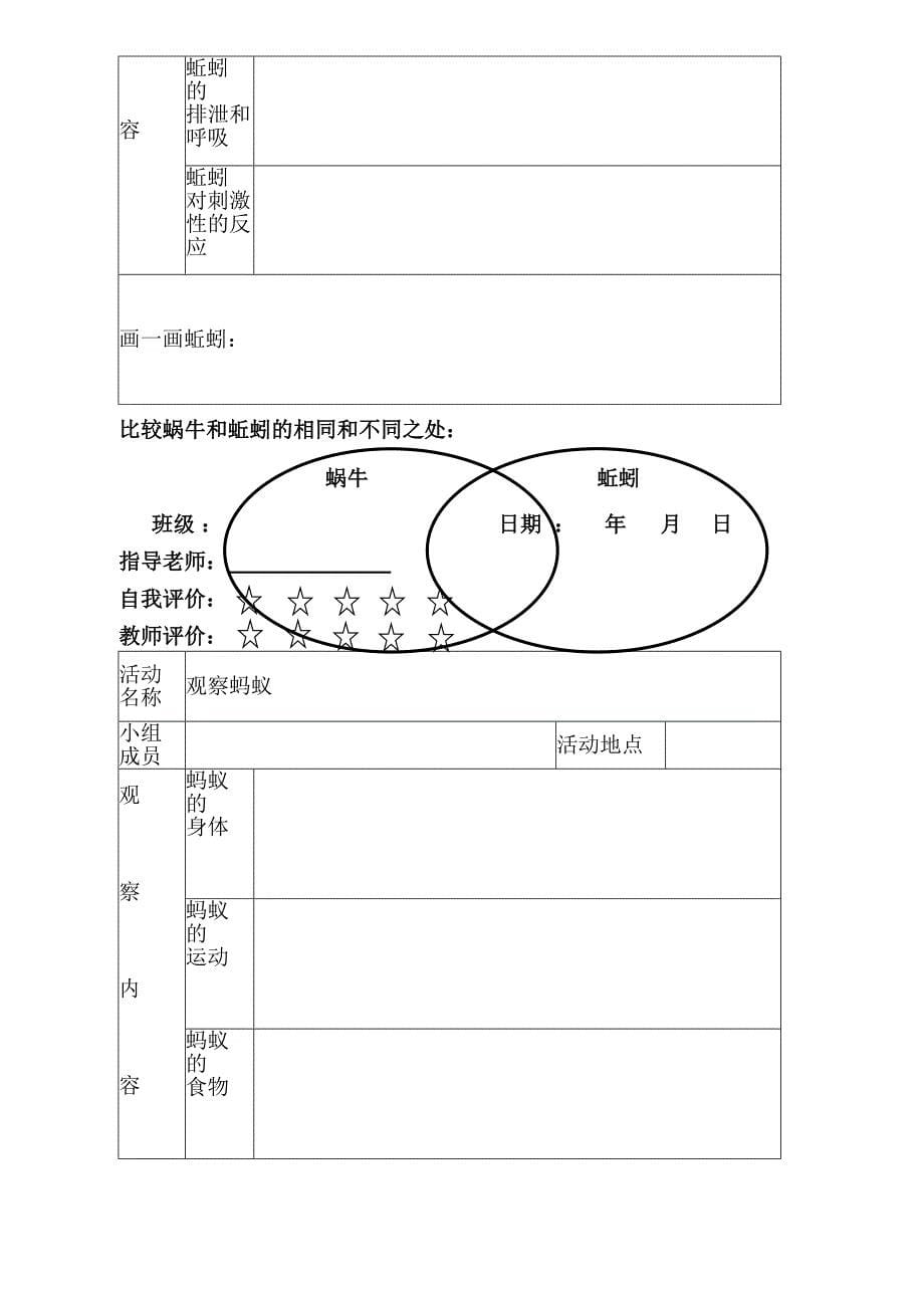 三年级上册科学实验记录表a_第5页