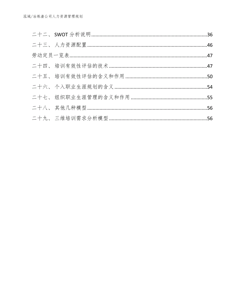 冶炼渣公司人力资源管理规划（参考）_第3页