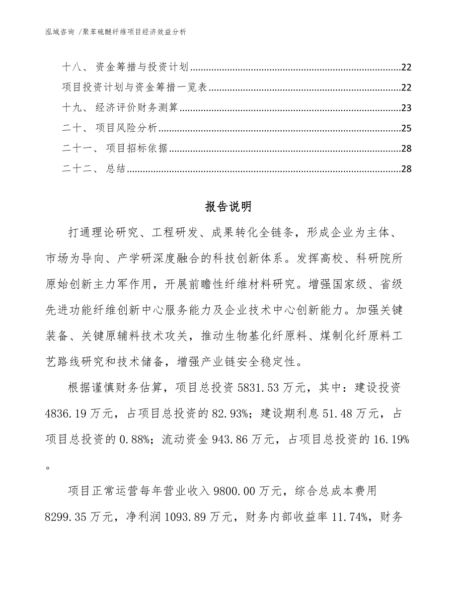 聚苯硫醚纤维项目经济效益分析_参考范文_第2页