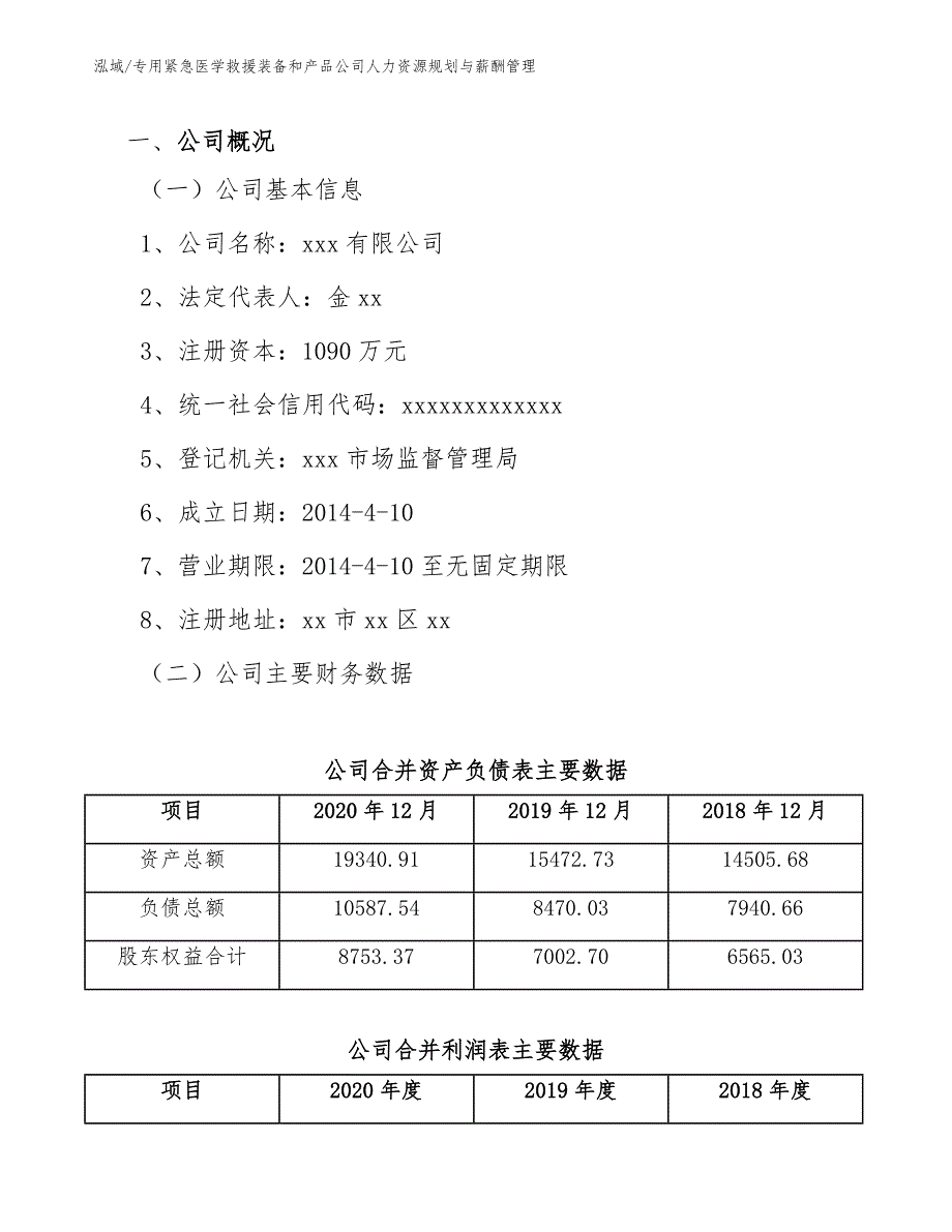 专用紧急医学救援装备和产品公司人力资源规划与薪酬管理_参考_第2页