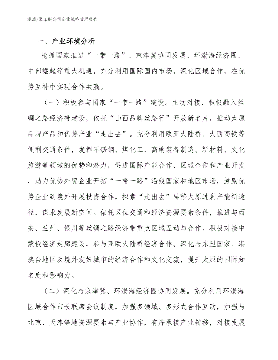 聚苯醚公司企业战略管理报告【范文】_第4页