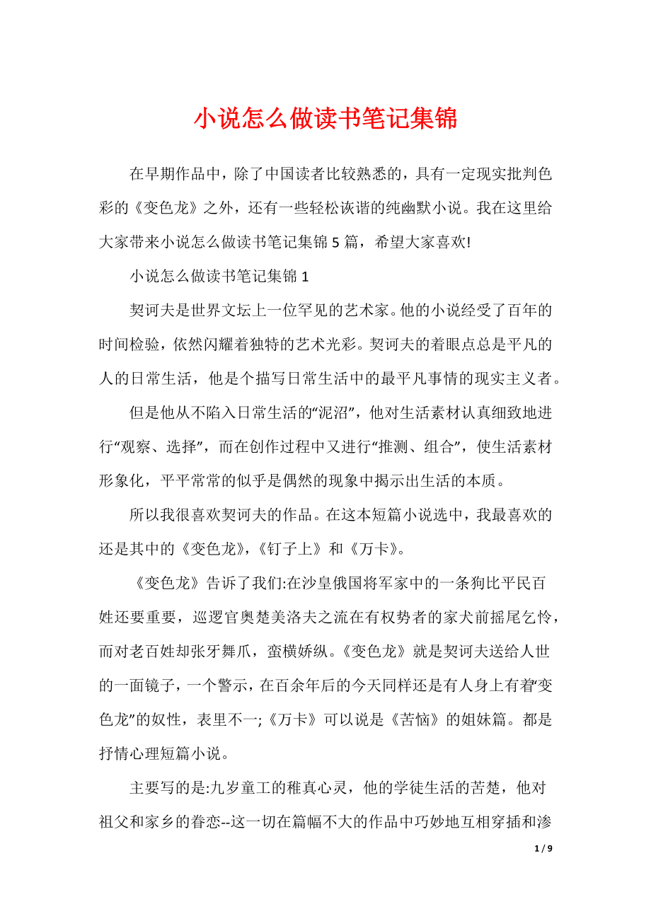 小说怎么做读书笔记集锦（可修改）_第1页