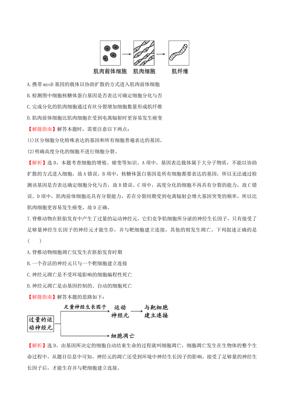 2019届高三生物第一轮复习-第6章-第2-4节-细胞的分化、衰老和凋亡、癌变练习-新人教版必修1_第3页