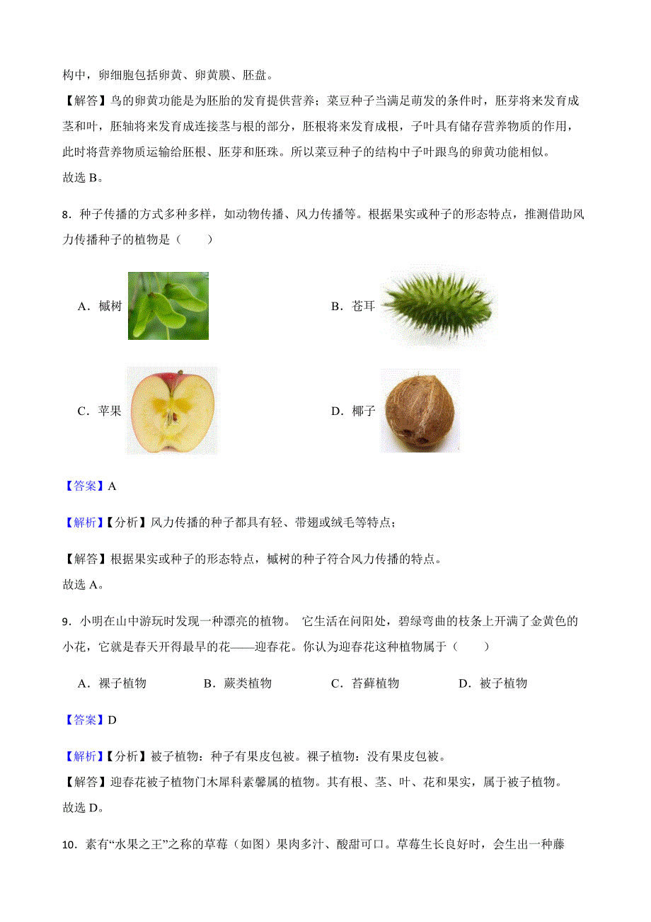 浙教版科学七下复习阶梯训练：植物（基础巩固）教师用卷_第4页