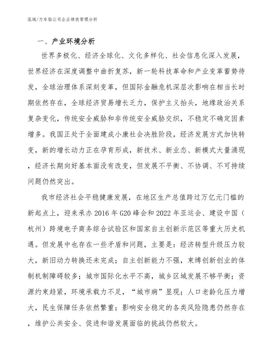 力车胎公司企业绩效管理分析_第2页