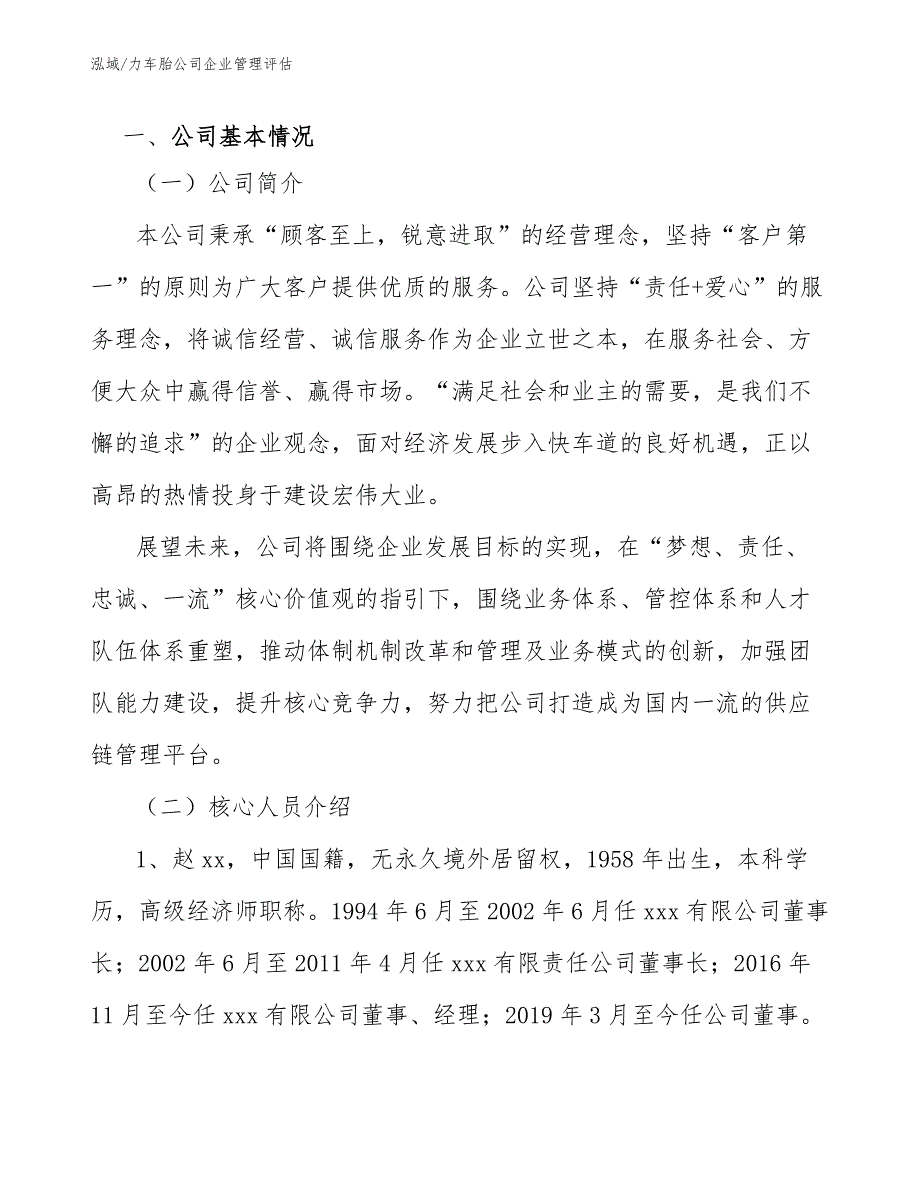 力车胎公司企业管理评估（参考）_第3页