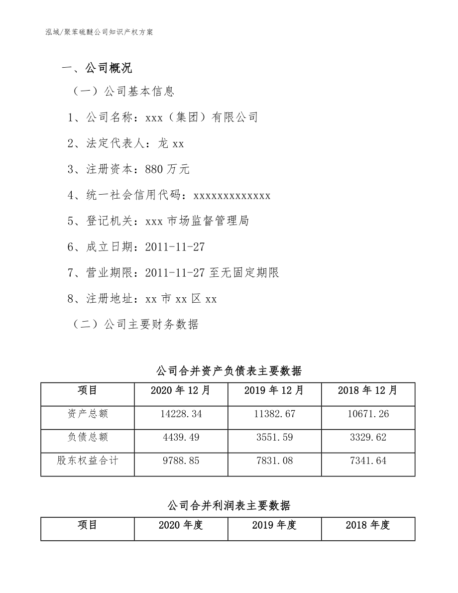 聚苯硫醚公司知识产权方案（范文）_第3页