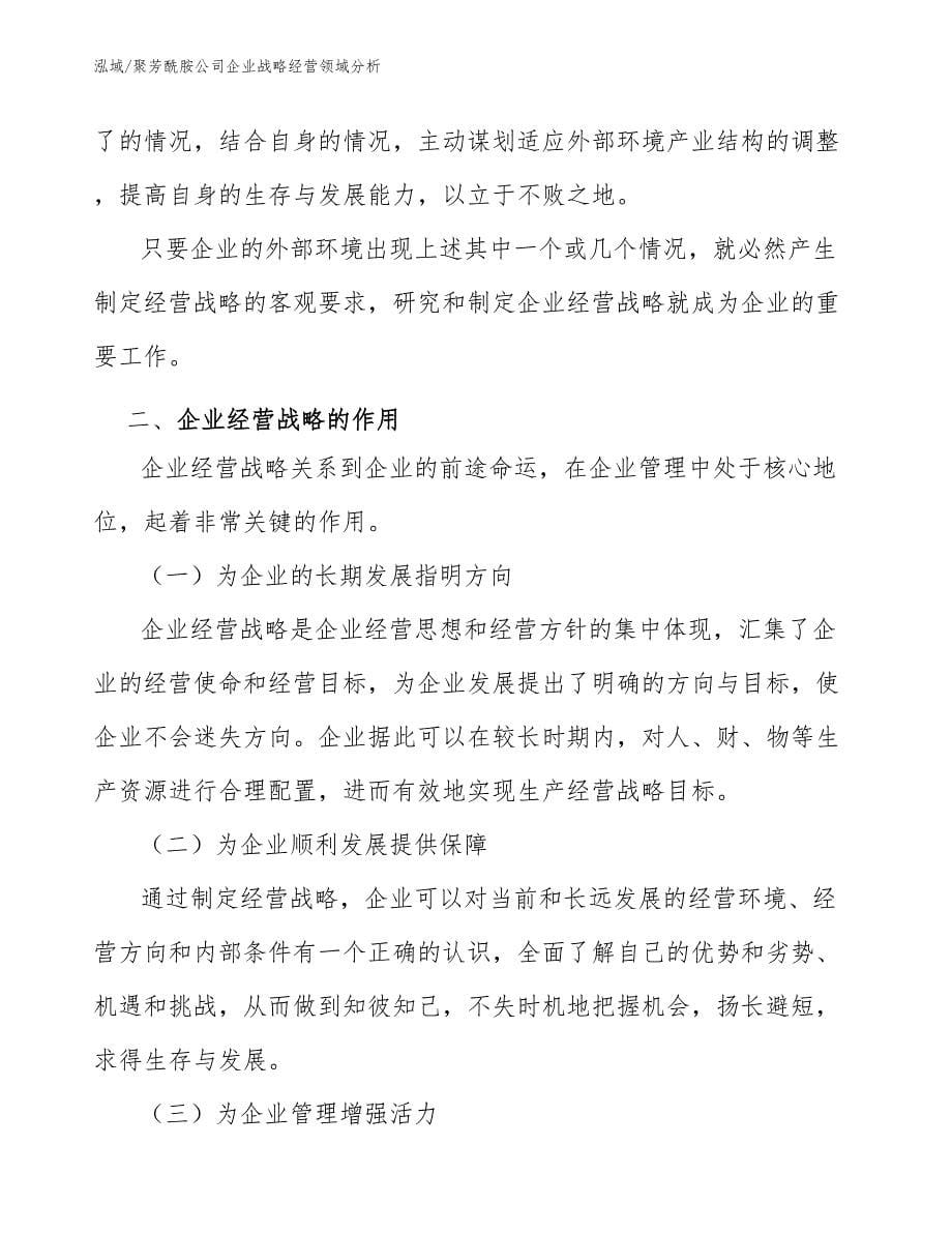 聚芳酰胺公司企业战略经营领域分析【参考】_第5页