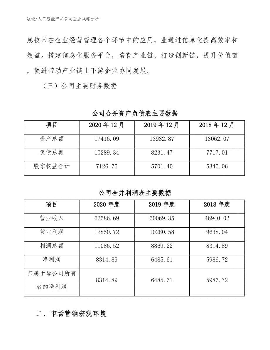 人工智能产品公司企业战略分析【范文】_第5页